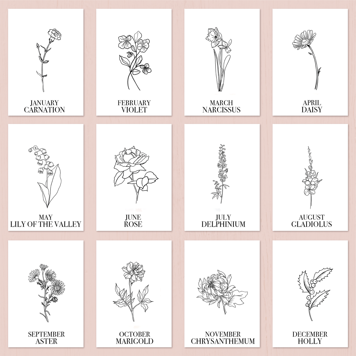 GRAWER • FLOWER BIRTH